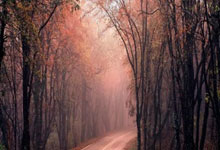 哪个股票平台最正规:配资炒股配资网站-批量涨停！商业航天早间异动 马斯克接连大动作